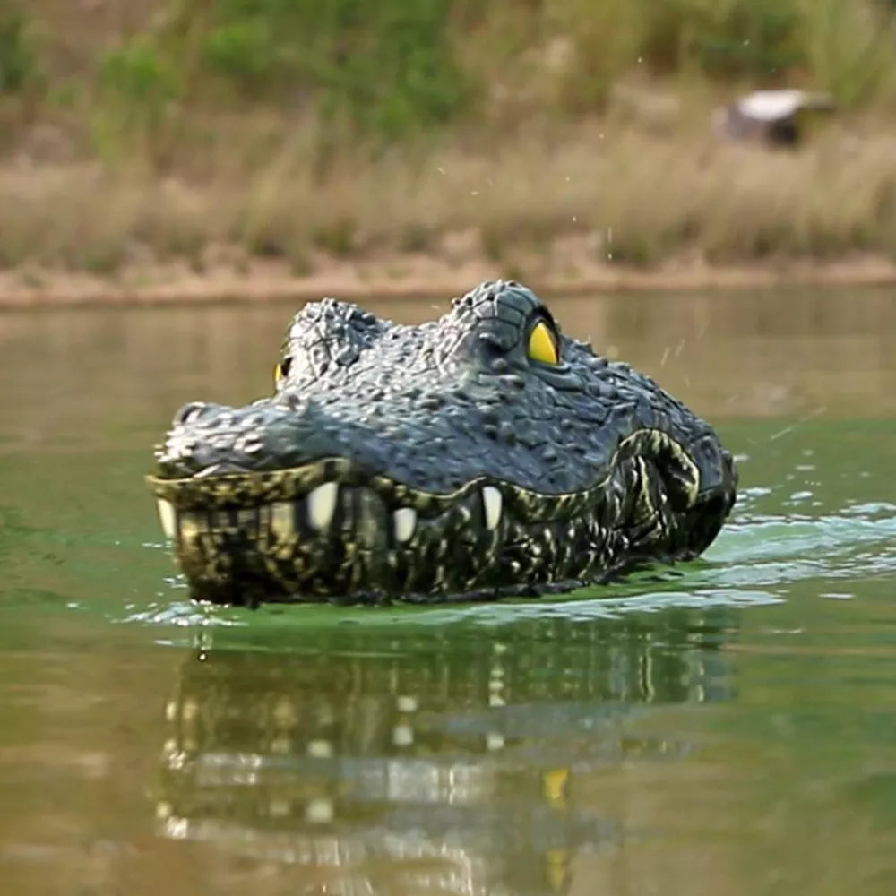 Barco: Cabeça de Crocodilo Realista